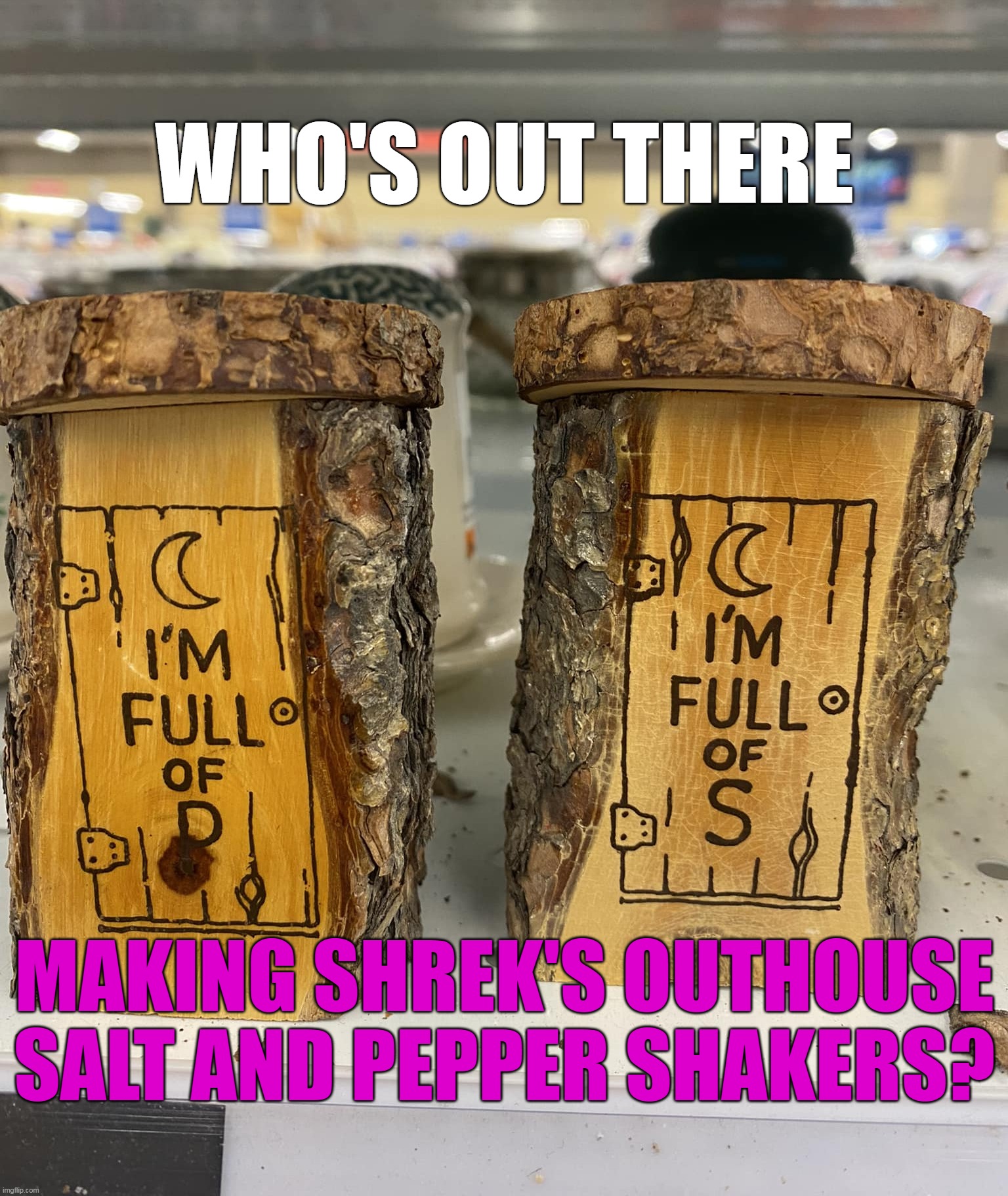 WHO'S OUT THERE; MAKING SHREK'S OUTHOUSE SALT AND PEPPER SHAKERS? | image tagged in meme,memes,humor,funny | made w/ Imgflip meme maker