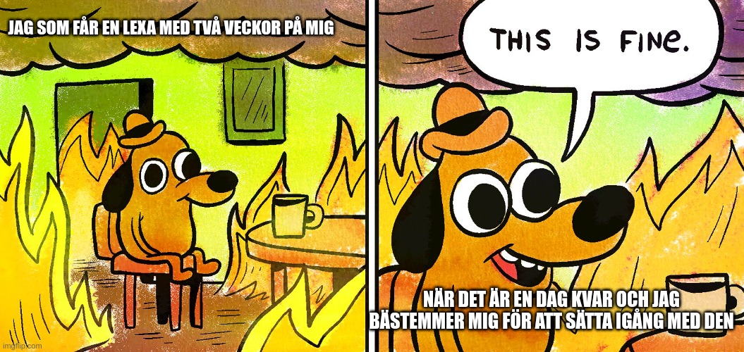 its fine | JAG SOM FÅR EN LEXA MED TVÅ VECKOR PÅ MIG; NÄR DET ÄR EN DAG KVAR OCH JAG BÄSTEMMER MIG FÖR ATT SÄTTA IGÅNG MED DEN | image tagged in its fine | made w/ Imgflip meme maker