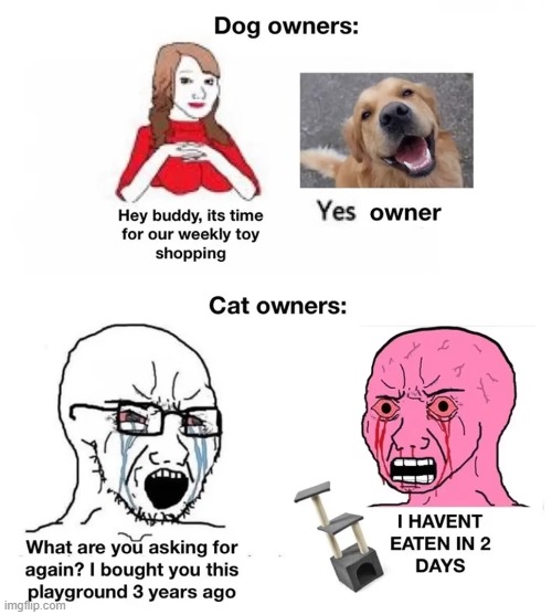 dog owners | image tagged in dogs | made w/ Imgflip meme maker