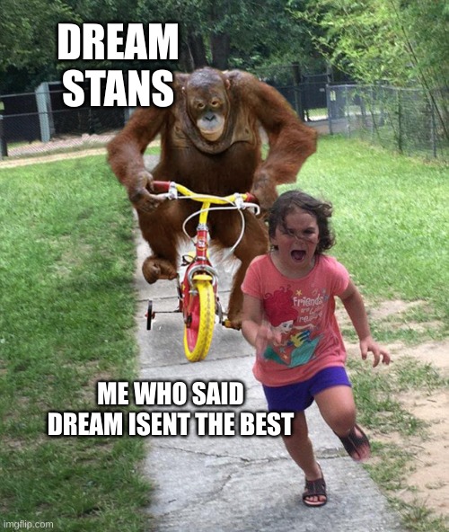 Orangutan chasing girl on a tricycle | DREAM STANS; ME WHO SAID DREAM ISENT THE BEST | image tagged in orangutan chasing girl on a tricycle | made w/ Imgflip meme maker