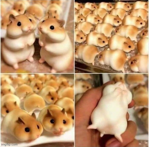 you may think those are hamsters but they're actually breads | image tagged in food | made w/ Imgflip meme maker