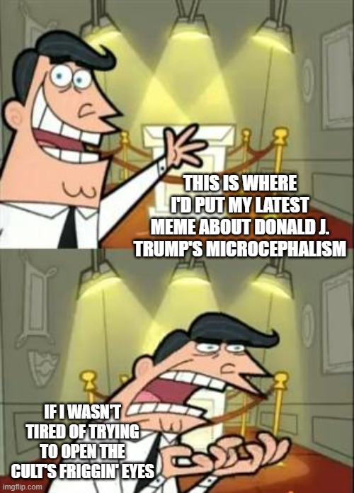 There's a point at which illustrating Trump's mentally unfit to hold office becomes tedious and boring. | THIS IS WHERE I'D PUT MY LATEST MEME ABOUT DONALD J. TRUMP'S MICROCEPHALISM; IF I WASN'T TIRED OF TRYING TO OPEN THE CULT'S FRIGGIN' EYES | image tagged in memes,this is where i'd put my trophy if i had one | made w/ Imgflip meme maker