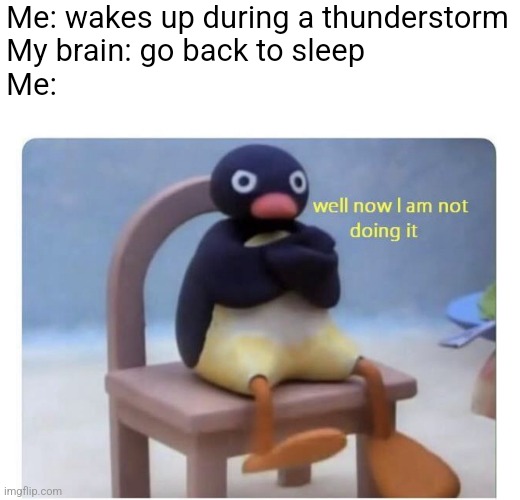 I'm sleep deprived | Me: wakes up during a thunderstorm
My brain: go back to sleep
Me: | image tagged in well now i am not doing it | made w/ Imgflip meme maker