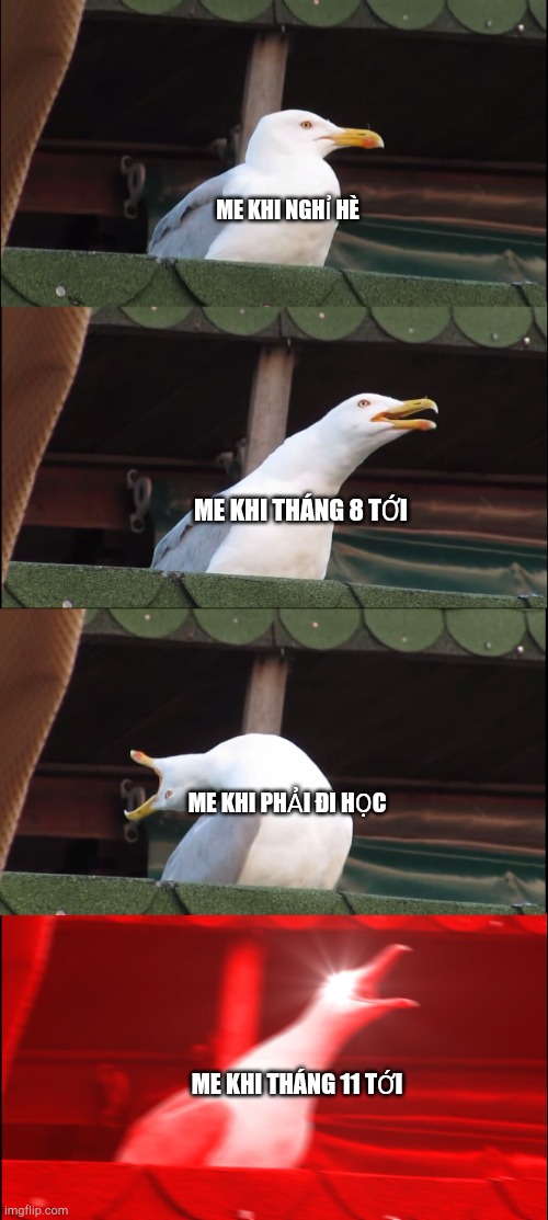 ME KHI NGHỈ HÈ ME KHI THÁNG 8 TỚI ME KHI PHẢI ĐI HỌC ME KHI THÁNG 11 TỚI | image tagged in memes,inhaling seagull | made w/ Imgflip meme maker