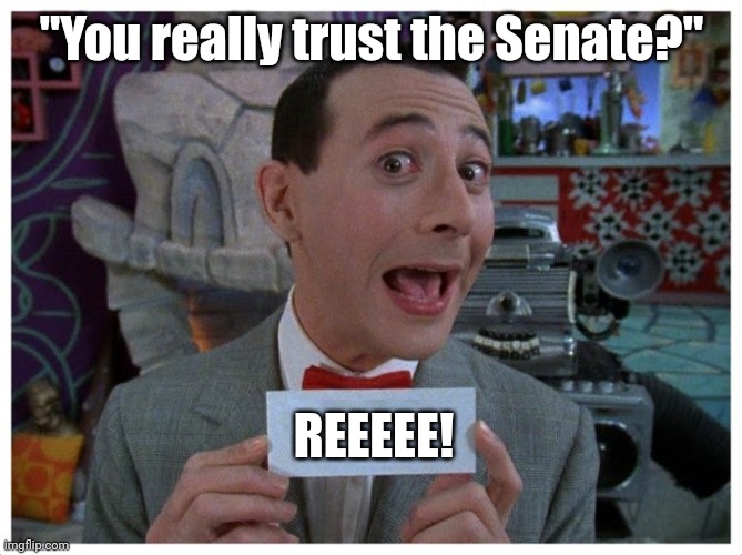 Secret Word of the Day | "You really trust the Senate?" REEEEE! | image tagged in secret word of the day | made w/ Imgflip meme maker