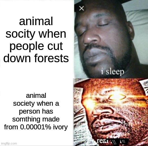Sleeping Shaq | animal socity when people cut down forests; animal society when a person has somthing made from 0.00001% ivory | image tagged in memes,sleeping shaq | made w/ Imgflip meme maker