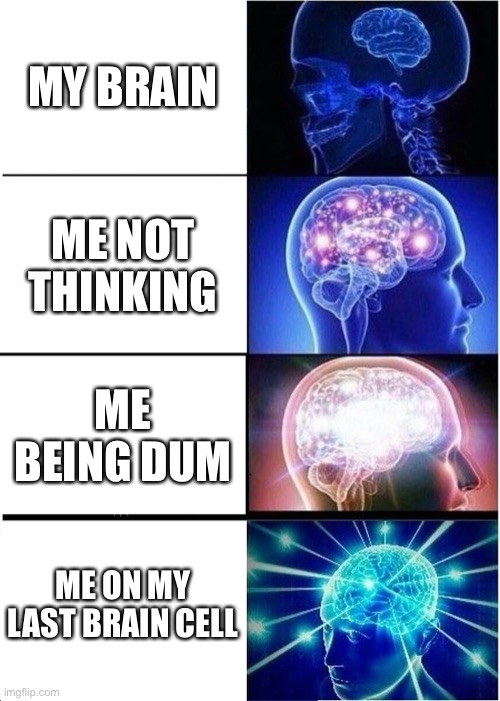 Expanding Brain | MY BRAIN; ME NOT THINKING; ME BEING DUM; ME ON MY LAST BRAIN CELL | image tagged in memes,expanding brain | made w/ Imgflip meme maker