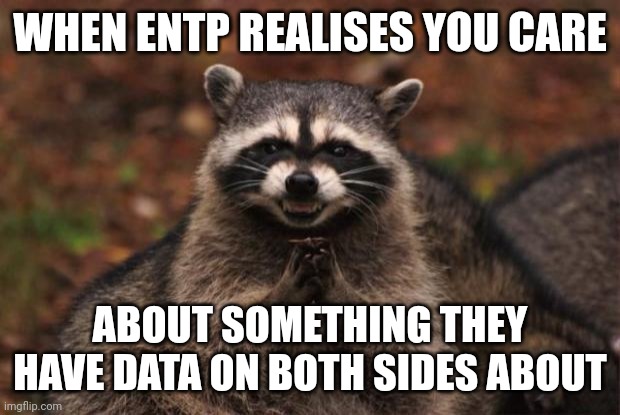 Grey ENTP | WHEN ENTP REALISES YOU CARE; ABOUT SOMETHING THEY HAVE DATA ON BOTH SIDES ABOUT | image tagged in evil genius racoon,mbti,myers briggs,entp,personality,memes | made w/ Imgflip meme maker