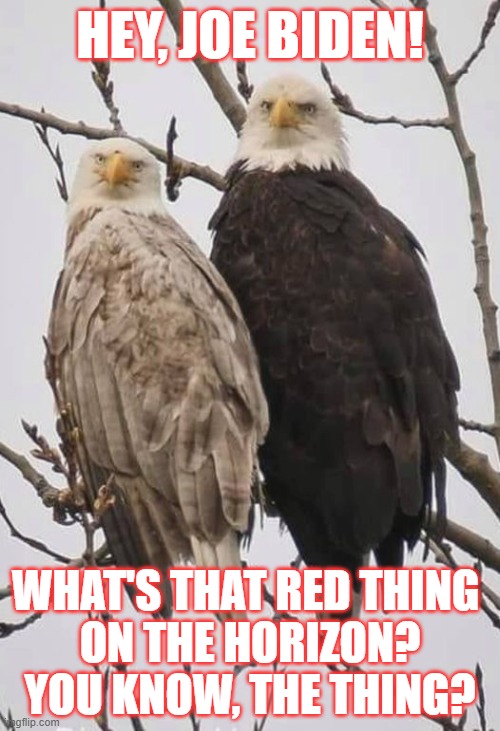 The Thing | HEY, JOE BIDEN! WHAT'S THAT RED THING 
ON THE HORIZON? YOU KNOW, THE THING? | image tagged in election 2022,democrats,republicans,vote | made w/ Imgflip meme maker