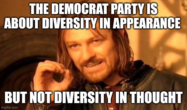 And they only want diversity in appearance for clout. | THE DEMOCRAT PARTY IS ABOUT DIVERSITY IN APPEARANCE; BUT NOT DIVERSITY IN THOUGHT | image tagged in memes,one does not simply | made w/ Imgflip meme maker