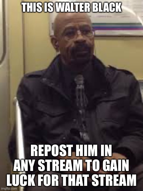 Walter White’s Secret Cousin | THIS IS WALTER BLACK; REPOST HIM IN ANY STREAM TO GAIN LUCK FOR THAT STREAM | image tagged in walter black | made w/ Imgflip meme maker