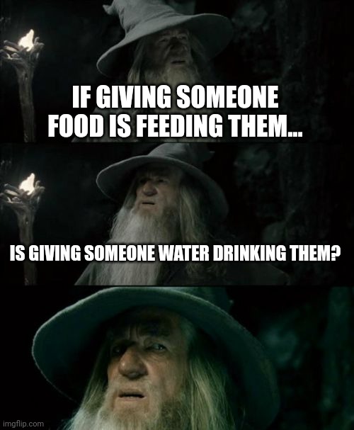 Meme #171 | IF GIVING SOMEONE FOOD IS FEEDING THEM... IS GIVING SOMEONE WATER DRINKING THEM? | image tagged in memes,confused gandalf,food,water,wizard,questions | made w/ Imgflip meme maker
