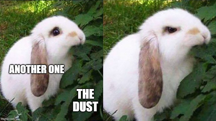 Another one bites the dust | ANOTHER ONE; THE DUST | image tagged in bunny biting leaf | made w/ Imgflip meme maker