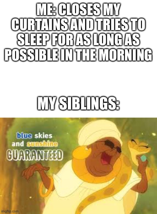 ME: CLOSES MY CURTAINS AND TRIES TO SLEEP FOR AS LONG AS POSSIBLE IN THE MORNING; MY SIBLINGS: | image tagged in blank white template,siblings,weekend | made w/ Imgflip meme maker