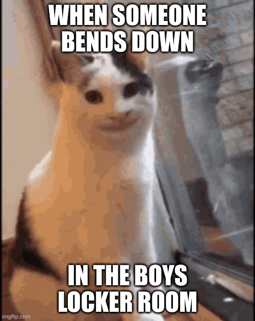 sussy fun | WHEN SOMEONE BENDS DOWN; IN THE BOYS LOCKER ROOM | image tagged in sussy,cat | made w/ Imgflip meme maker