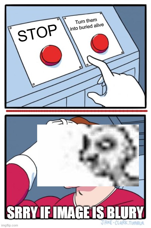 Two Buttons | Turn them into buried alive; STOP; SRRY IF IMAGE IS BLURY | image tagged in memes,two buttons | made w/ Imgflip meme maker