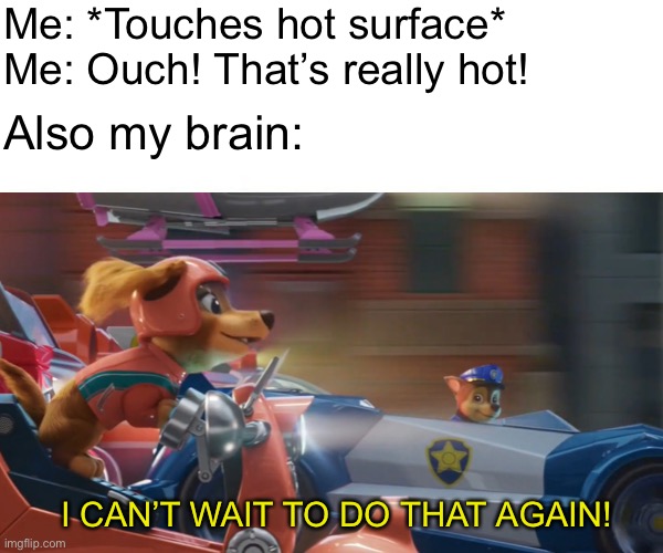 Why, brain? Why? |  Me: *Touches hot surface*
Me: Ouch! That’s really hot! Also my brain:; I CAN’T WAIT TO DO THAT AGAIN! | image tagged in paw patrol,funny,memes,dogs,brain,relatable | made w/ Imgflip meme maker