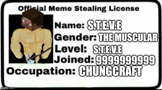 Meme Stealing License | S.T.E.V.E; THE MUSCULAR; S.T.E.V.E; 9999999999; CHUNGCRAFT | image tagged in meme stealing license | made w/ Imgflip meme maker