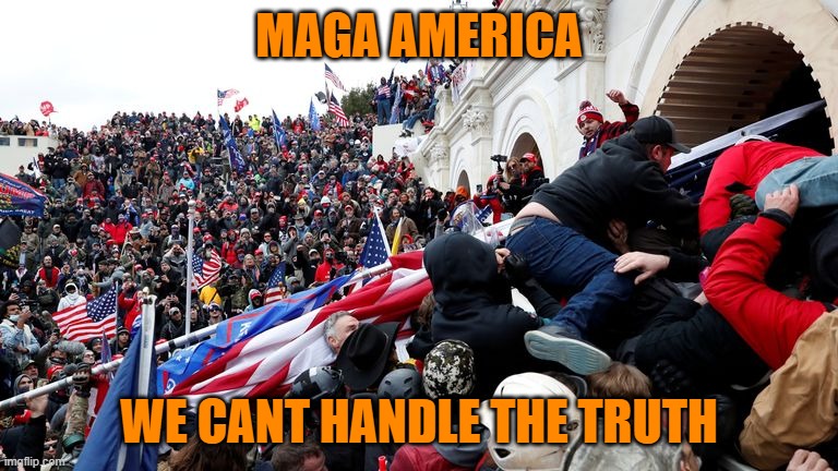 Capitol Terrorists | MAGA AMERICA WE CANT HANDLE THE TRUTH | image tagged in capitol terrorists | made w/ Imgflip meme maker