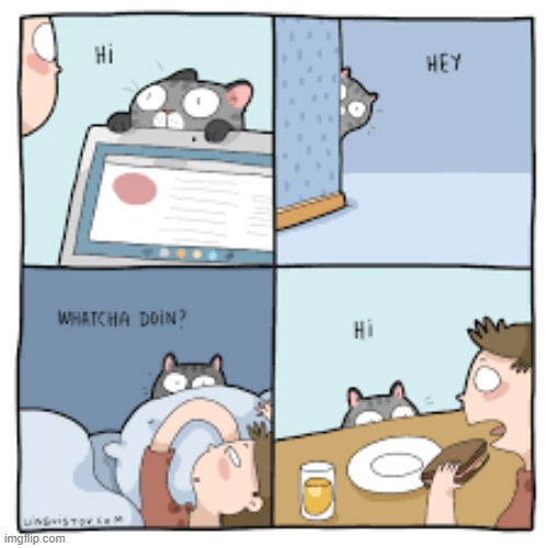 A Cat's Way Of Thinking | image tagged in memes,comics,cats,hi,hey,whatcha doing | made w/ Imgflip meme maker