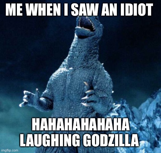 Laughing Godzilla | ME WHEN I SAW AN IDIOT; HAHAHAHAHAHA LAUGHING GODZILLA | image tagged in laughing godzilla | made w/ Imgflip meme maker