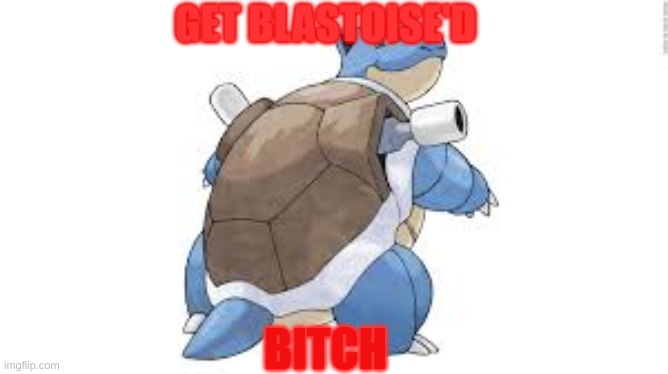 oh no! | GET BLASTOISE'D; BITCH | image tagged in funny memes | made w/ Imgflip meme maker