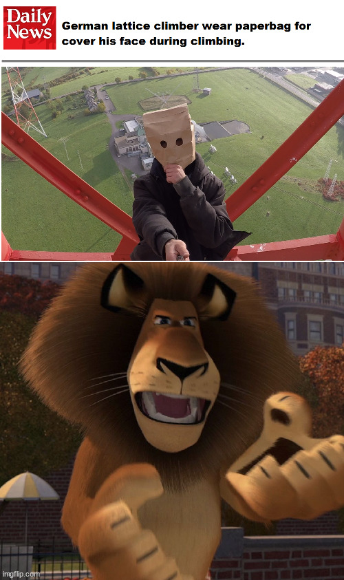 Alex the lion | image tagged in alex the lion | made w/ Imgflip meme maker