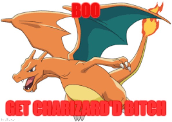 boo | BOO; GET CHARIZARD'D BITCH | image tagged in funny | made w/ Imgflip meme maker