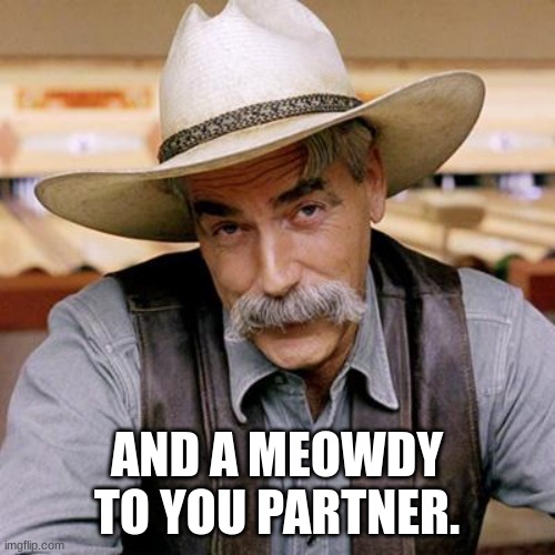 SARCASM COWBOY | AND A MEOWDY TO YOU PARTNER. | image tagged in sarcasm cowboy | made w/ Imgflip meme maker