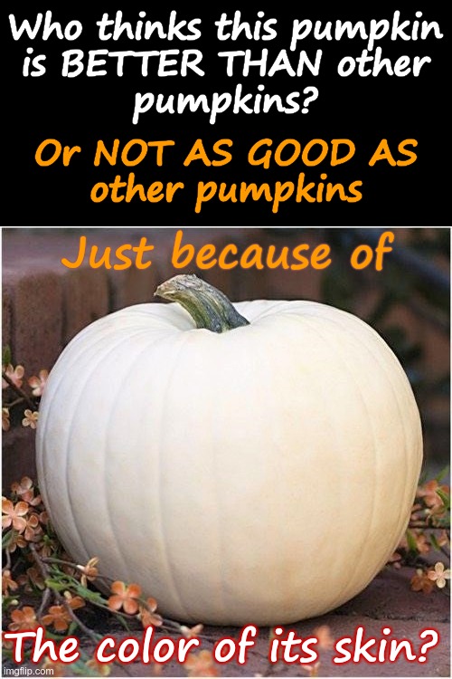 Happy Halloween! |  Who thinks this pumpkin
is BETTER THAN other
pumpkins? Or NOT AS GOOD AS
other pumpkins; Just because of; The color of its skin? | image tagged in white pumpkin 500x500,happy halloween,rick75230,no racism | made w/ Imgflip meme maker