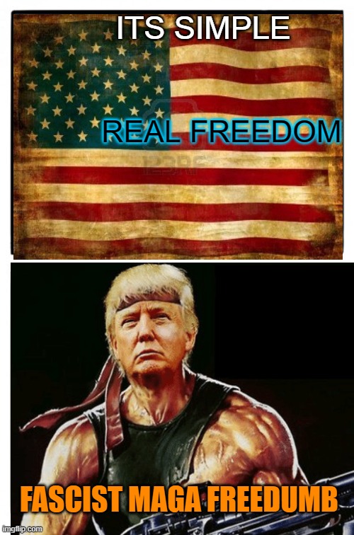 Midterm madness what will we choose? | ITS SIMPLE; REAL FREEDOM; FASCIST MAGA FREEDUMB | image tagged in donald trump,maga,brandon,political meme,election | made w/ Imgflip meme maker