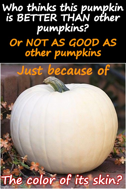 Happy Halloween! | Who thinks this pumpkin
is BETTER THAN other
pumpkins? Or NOT AS GOOD AS
other pumpkins; Just because of; The color of its skin? | image tagged in white pumpkin 500x500,happy halloween,no racism,rick75230 | made w/ Imgflip meme maker