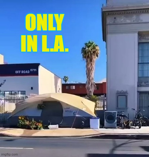 I'm Not Sure What Else To Say, But... | ONLY IN L.A. | image tagged in memes,politics,los angeles,homeless,washing machine,i was not expecting that | made w/ Imgflip meme maker