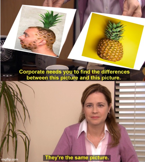 Pineapple | image tagged in memes,they're the same picture,pineapple,comment section,comments,pineapples | made w/ Imgflip meme maker