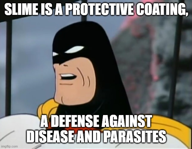 slime is a protective coating | SLIME IS A PROTECTIVE COATING, A DEFENSE AGAINST DISEASE AND PARASITES | image tagged in space ghost | made w/ Imgflip meme maker