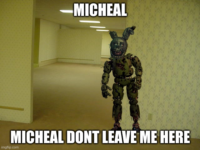 Springtrap in backrooms | MICHEAL; MICHEAL DONT LEAVE ME HERE | image tagged in springtrap,fnaf,the backrooms,backrooms,fnaf 3 | made w/ Imgflip meme maker