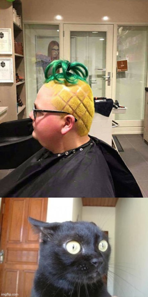Cursed hairstyle: Pineapple | image tagged in cannot be unseen cat,cursed image,hairstyle,memes,pineapple,cursed | made w/ Imgflip meme maker