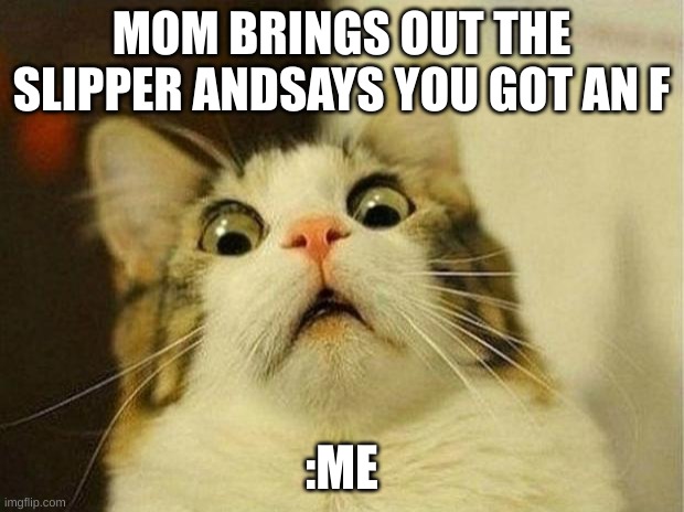 Scared Cat Meme | MOM BRINGS OUT THE SLIPPER ANDSAYS YOU GOT AN F; :ME | image tagged in memes,scared cat | made w/ Imgflip meme maker