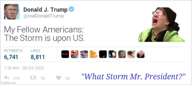 You'll Find Out. | "What Storm Mr. President?" | image tagged in elon musk,trump twitter,heroes of the storm,free speech,elon musk buying twitter,the great awakening | made w/ Imgflip meme maker
