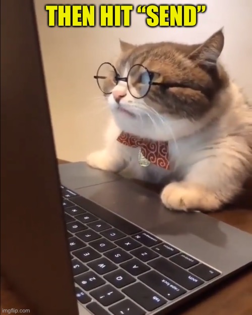 research cat | THEN HIT “SEND” | image tagged in research cat | made w/ Imgflip meme maker