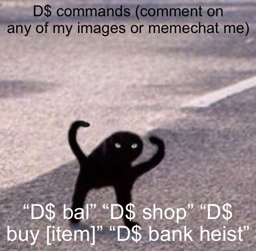 Commands (more in comments) | D$ commands (comment on any of my images or memechat me); “D$ bal” “D$ shop” “D$ buy [item]” “D$ bank heist” | image tagged in cursed cat temp | made w/ Imgflip meme maker