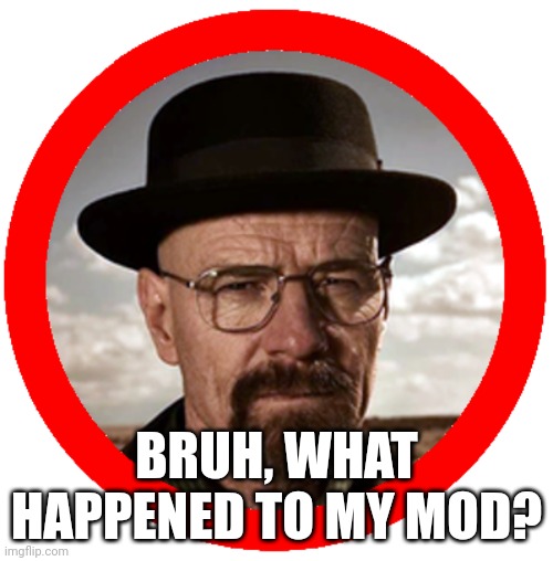walter found | BRUH, WHAT HAPPENED TO MY MOD? | image tagged in walter found | made w/ Imgflip meme maker