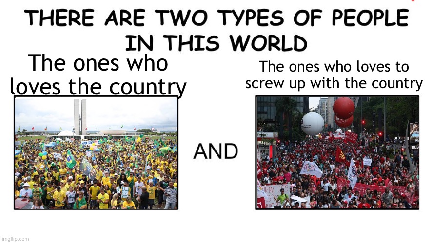 *shrugs* | The ones who loves the country; The ones who loves to screw up with the country | image tagged in there are two types of people in this world,funny,politics,brazil,good,bad | made w/ Imgflip meme maker