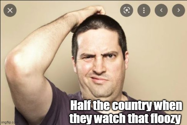 Half the country when they watch that floozy | made w/ Imgflip meme maker