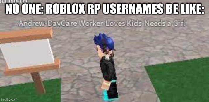 Absolutely nobody: | NO ONE: ROBLOX RP USERNAMES BE LIKE: | image tagged in roblox meme | made w/ Imgflip meme maker