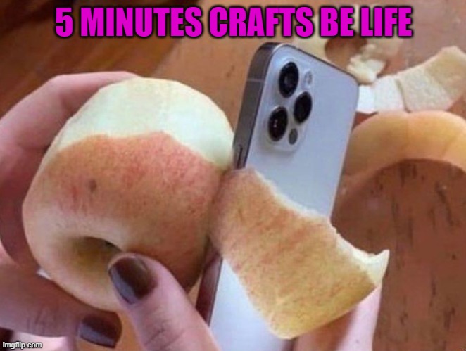 5 MINUTES CRAFTS BE LIFE | image tagged in memes | made w/ Imgflip meme maker