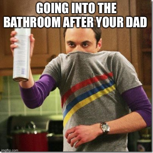 air freshener sheldon cooper | GOING INTO THE BATHROOM AFTER YOUR DAD | image tagged in air freshener sheldon cooper | made w/ Imgflip meme maker