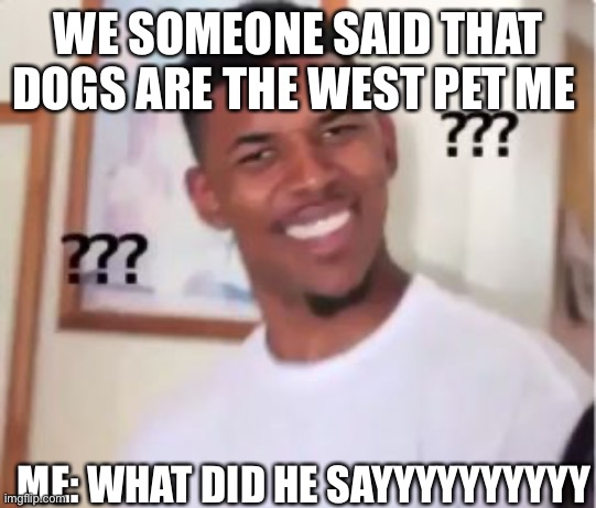 Nick Young | WE SOMEONE SAID THAT DOGS ARE THE WEST PET ME; ME: WHAT DID HE SAYYYYYYYYYY | image tagged in nick young | made w/ Imgflip meme maker