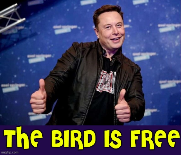 A Loss to Censorship; A Win for Freedom | THE BIRD IS FREE | image tagged in vince vance,twitter,elon musk,memes,twitter birds says,elon musk buying twitter | made w/ Imgflip meme maker