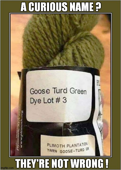 Congrats To The Product Naming Department ! | A CURIOUS NAME ? THEY'RE NOT WRONG ! | image tagged in fun,names,goose | made w/ Imgflip meme maker